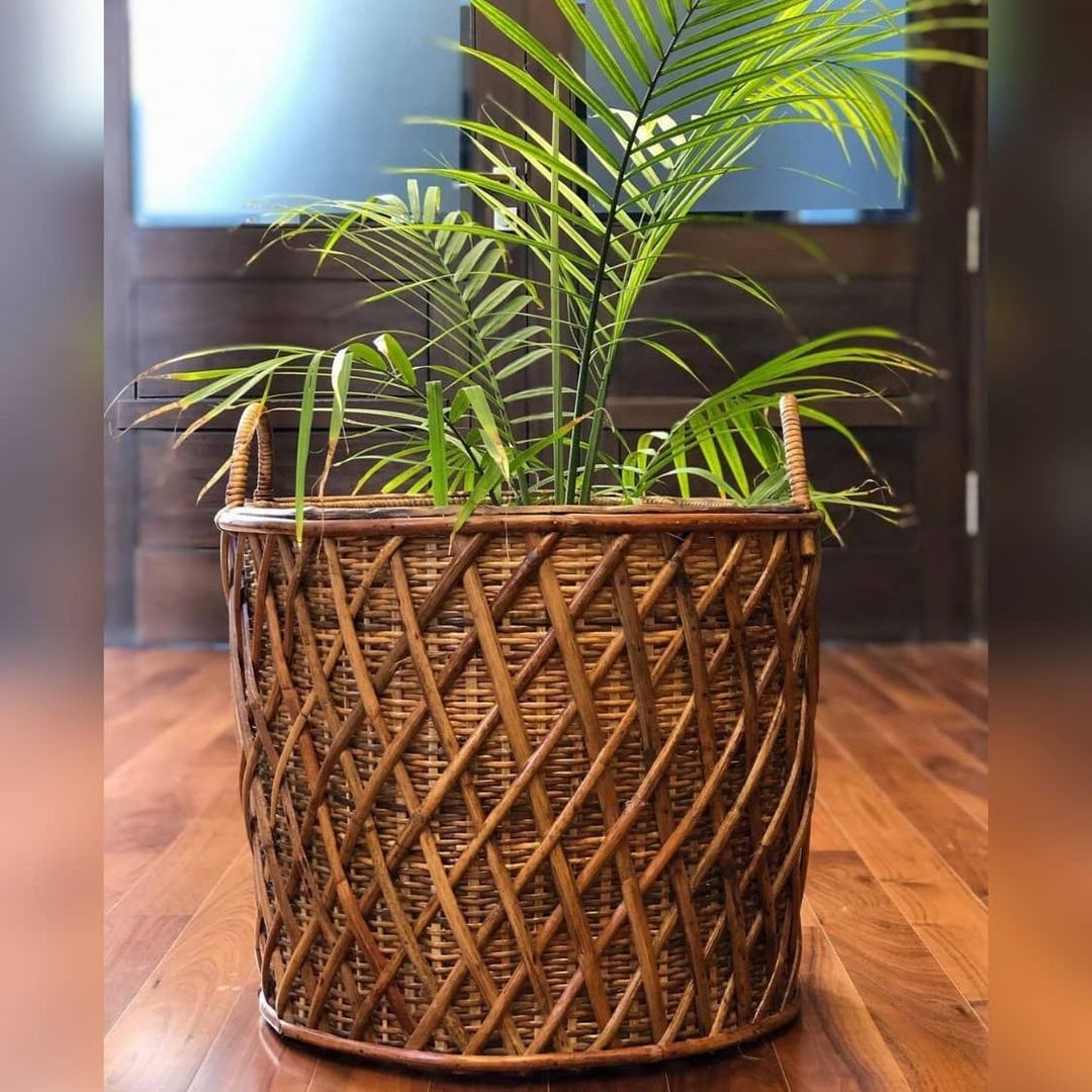 Interlace Cane Planter