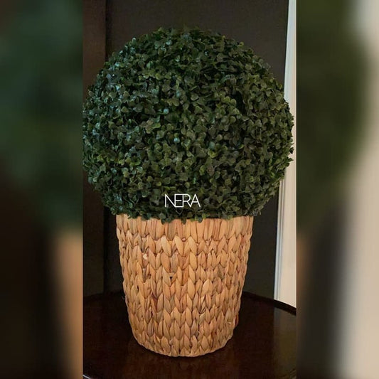 Wicker Planter Without Plant
