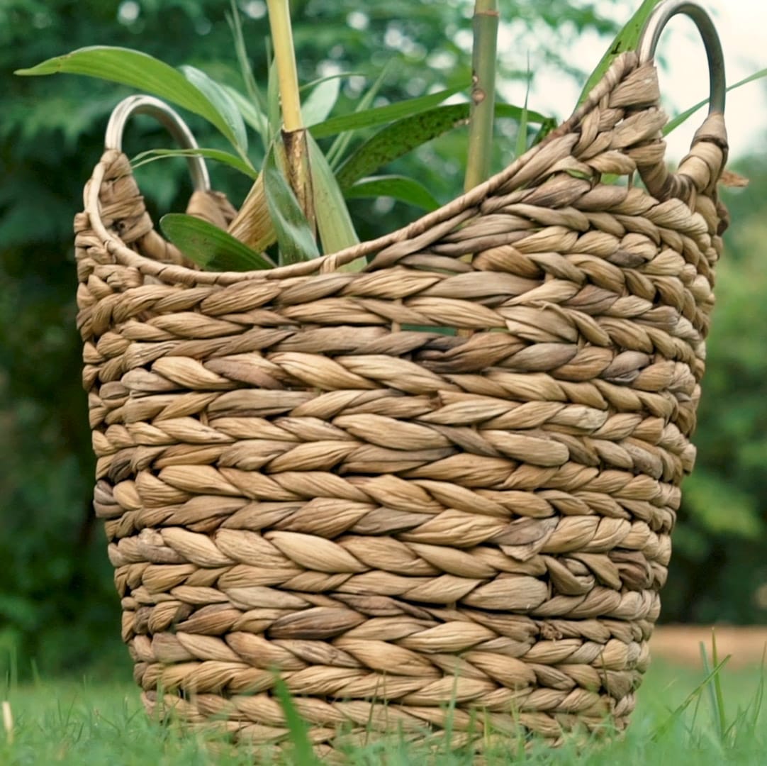 Superior Wicker