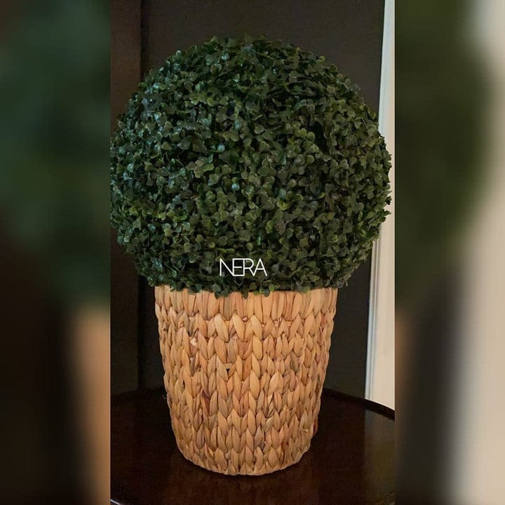 Wicker Planter Without Plant